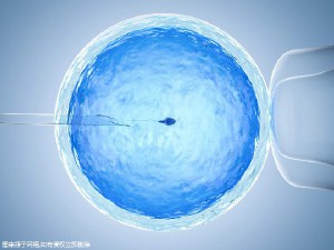 苏主任